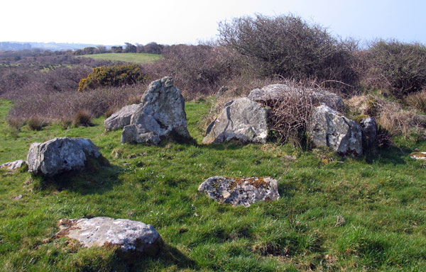 The court cairn at Streedagh