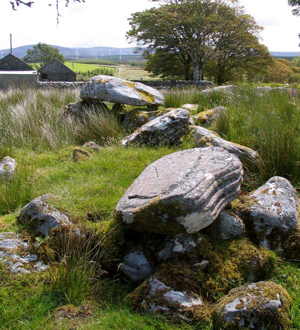 Duniel Mountain, west Sligo.